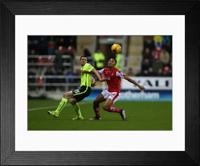 Framed Print : Brighton and Hove Albion Celebrate Championship Victory at Rotherham United (January 12, 2016) Framed Print : Brighton and Hove Albion Celebrate Championship Victory at Rotherham United (January 12, 2016)
