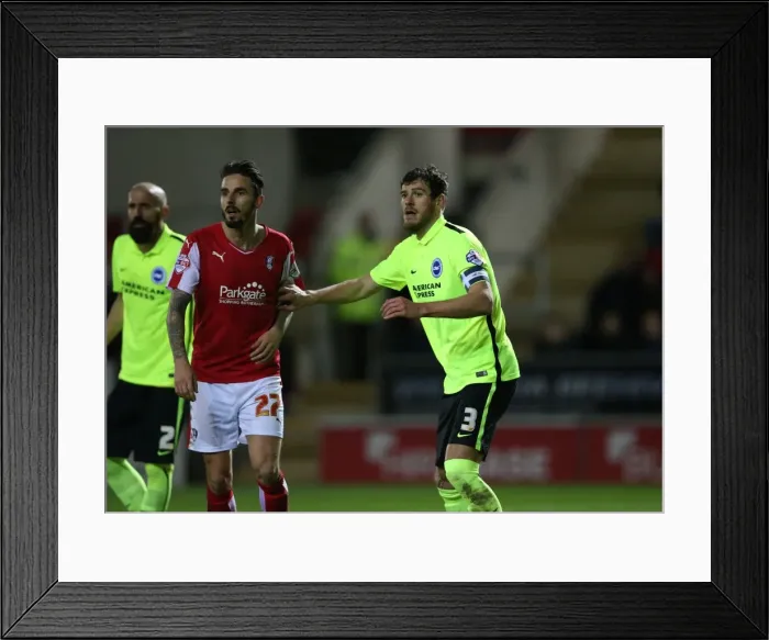 Framed Print : Brighton and Hove Albion's Championship Victory at Rotherham United (12 January 2016) Framed Print : Brighton and Hove Albion's Championship Victory at Rotherham United (12 January 2016)