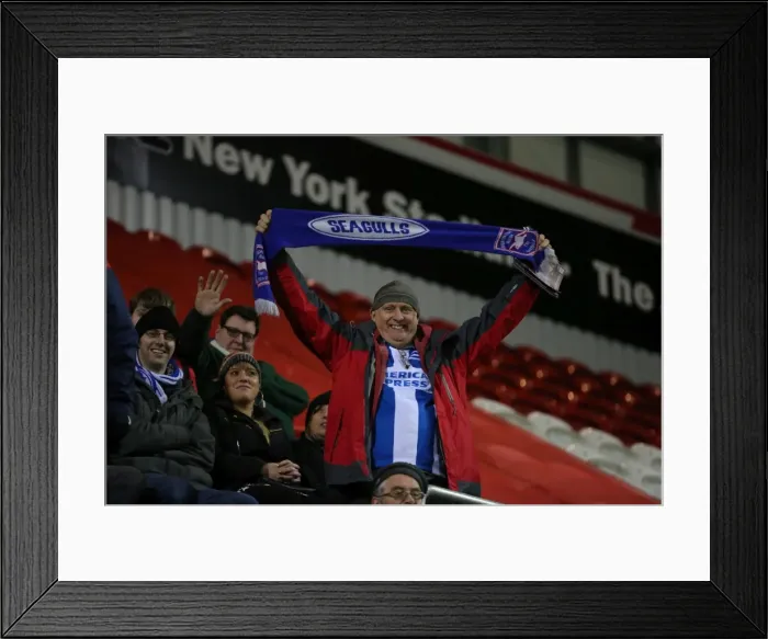 Framed Print : Brighton and Hove Albion's Triumph over Rotherham United in Sky Bet Championship (12 January 2016) Framed Print : Brighton and Hove Albion's Triumph over Rotherham United in Sky Bet Championship (12 January 2016)