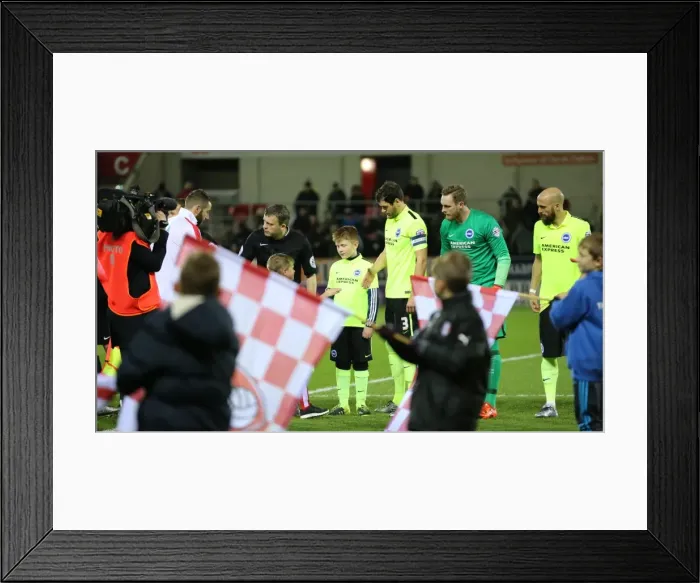 Framed Print : Brighton and Hove Albion vs. Rotherham United: Sky Bet Championship Clash (12JAN16) Framed Print : Brighton and Hove Albion vs. Rotherham United: Sky Bet Championship Clash (12JAN16)