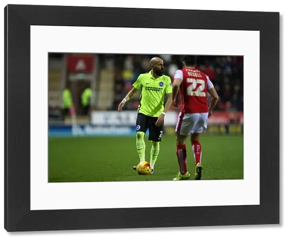 Brighton and Hove Albion Celebrate Championship Victory at Rotherham United (12 January 2016)
