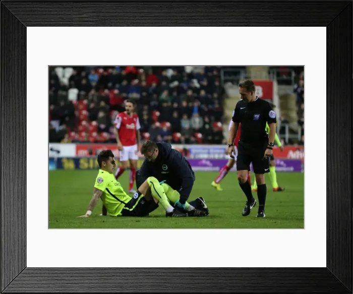 Framed Print : Brighton and Hove Albion's Triumph over Rotherham United in Sky Bet Championship (12 January 2016) Framed Print : Brighton and Hove Albion's Triumph over Rotherham United in Sky Bet Championship (12 January 2016)