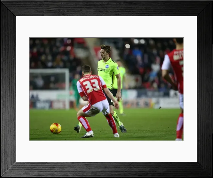 Framed Print : Brighton and Hove Albion vs. Rotherham United: Championship Clash (12JAN16) Framed Print : Brighton and Hove Albion vs. Rotherham United: Championship Clash (12JAN16)