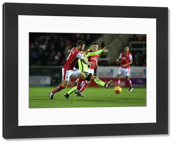 Brighton and Hove Albion Celebrate Championship Victory at Rotherham United (12 Jan 2016)