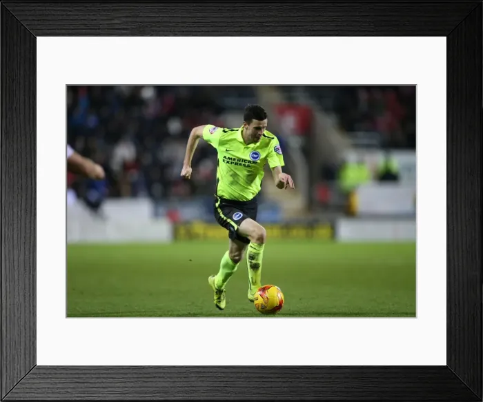 Framed Print : Brighton and Hove Albion's Triumph over Rotherham United in the Sky Bet Championship (January 12, 2016) Framed Print : Brighton and Hove Albion's Triumph over Rotherham United in the Sky Bet Championship (January 12, 2016)