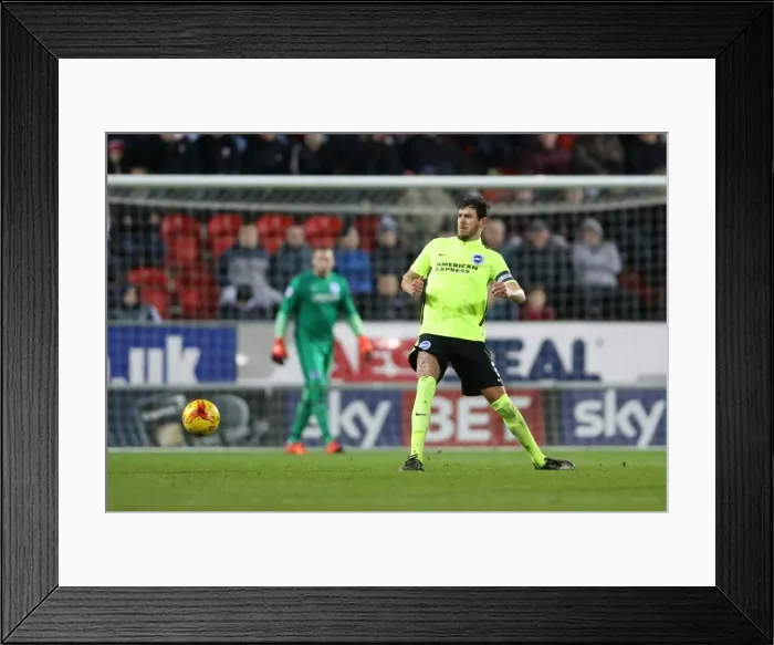 Framed Print : Brighton and Hove Albion Celebrate Championship Victory at Rotherham United (January 12, 2016) Framed Print : Brighton and Hove Albion Celebrate Championship Victory at Rotherham United (January 12, 2016)