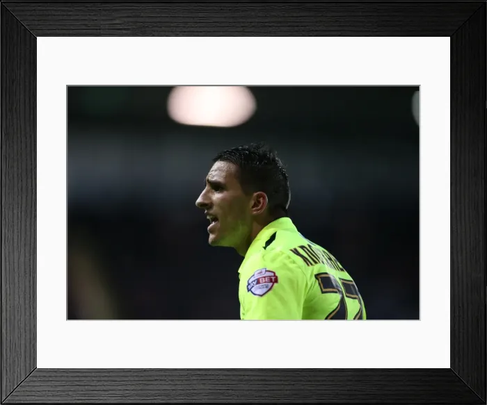 Framed Print : Brighton and Hove Albion's Triumph over Rotherham United in Sky Bet Championship (12 January 2016) Framed Print : Brighton and Hove Albion's Triumph over Rotherham United in Sky Bet Championship (12 January 2016)