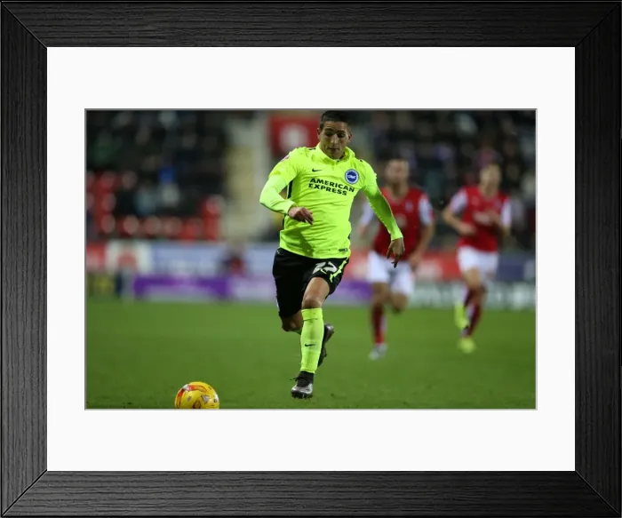 Framed Print : Brighton and Hove Albion's Triumph over Rotherham United in Sky Bet Championship (12 January 2016) Framed Print : Brighton and Hove Albion's Triumph over Rotherham United in Sky Bet Championship (12 January 2016)