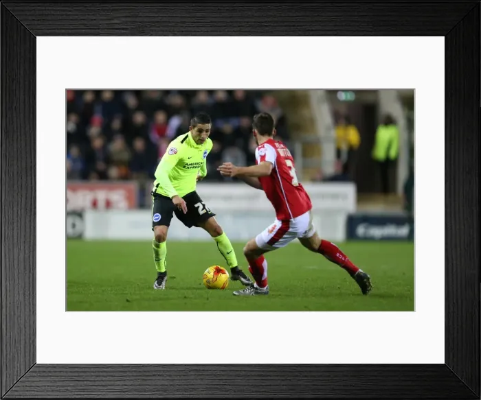 Framed Print : Brighton and Hove Albion's Triumph over Rotherham United in Sky Bet Championship (12 January 2016) Framed Print : Brighton and Hove Albion's Triumph over Rotherham United in Sky Bet Championship (12 January 2016)