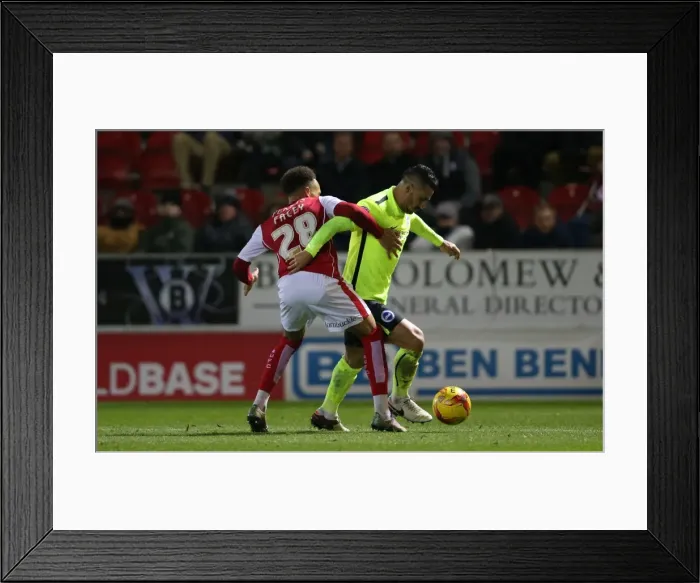 Framed Print : Brighton and Hove Albion vs. Rotherham United: Sky Bet Championship Showdown (12JAN16) Framed Print : Brighton and Hove Albion vs. Rotherham United: Sky Bet Championship Showdown (12JAN16)