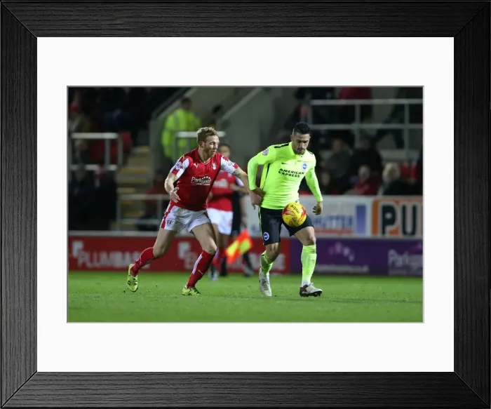 Framed Print : Brighton and Hove Albion's Triumph over Rotherham United in Sky Bet Championship (12 January 2016) Framed Print : Brighton and Hove Albion's Triumph over Rotherham United in Sky Bet Championship (12 January 2016)