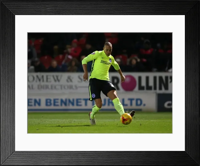 Framed Print : Brighton and Hove Albion's Triumph over Rotherham United in Sky Bet Championship (12 January 2016) Framed Print : Brighton and Hove Albion's Triumph over Rotherham United in Sky Bet Championship (12 January 2016)