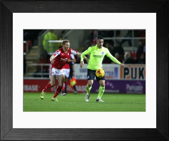 Framed Print : Brighton and Hove Albion's Triumph over Rotherham United in Sky Bet Championship (12 January 2016) Framed Print : Brighton and Hove Albion's Triumph over Rotherham United in Sky Bet Championship (12 January 2016)