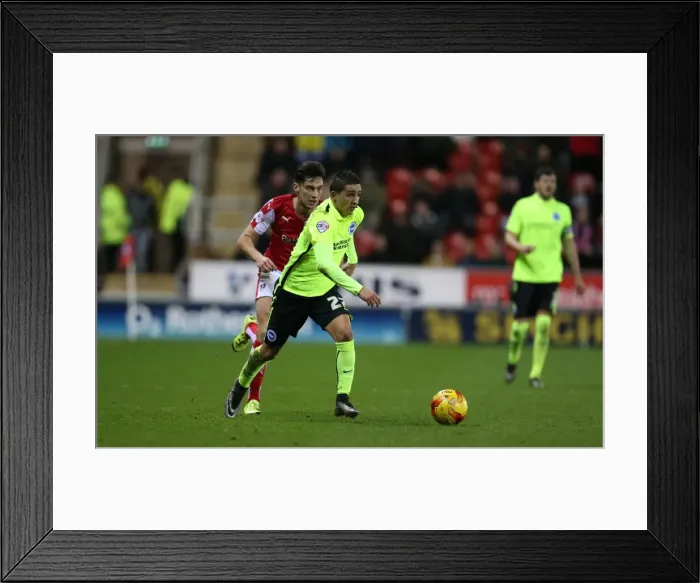 Framed Print : Brighton and Hove Albion vs. Rotherham United: Championship Showdown (12JAN16) Framed Print : Brighton and Hove Albion vs. Rotherham United: Championship Showdown (12JAN16)