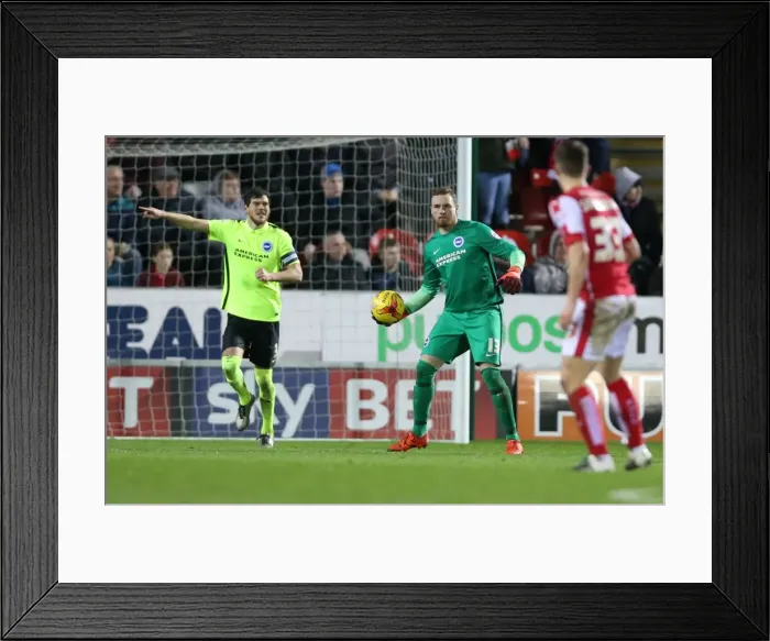 Framed Print : Brighton and Hove Albion's Triumph over Rotherham United in Sky Bet Championship (12 January 2016) Framed Print : Brighton and Hove Albion's Triumph over Rotherham United in Sky Bet Championship (12 January 2016)