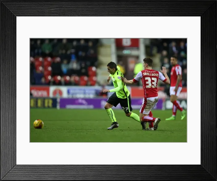 Framed Print : Brighton and Hove Albion Celebrate Championship Victory over Rotherham United (January 12, 2016) Framed Print : Brighton and Hove Albion Celebrate Championship Victory over Rotherham United (January 12, 2016)