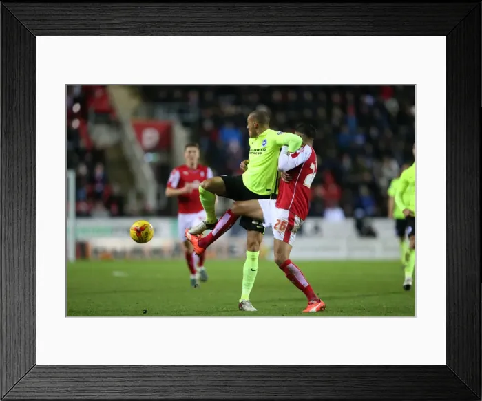 Framed Print : Brighton and Hove Albion vs. Rotherham United: Sky Bet Championship Showdown (12JAN16) Framed Print : Brighton and Hove Albion vs. Rotherham United: Sky Bet Championship Showdown (12JAN16)