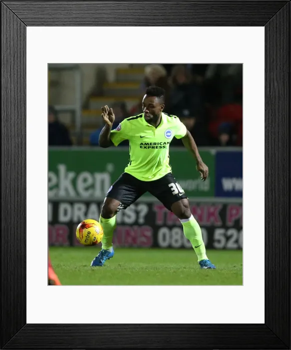 Framed Print : Brighton and Hove Albion vs. Rotherham United: Sky Bet Championship Clash (12JAN16) Framed Print : Brighton and Hove Albion vs. Rotherham United: Sky Bet Championship Clash (12JAN16)