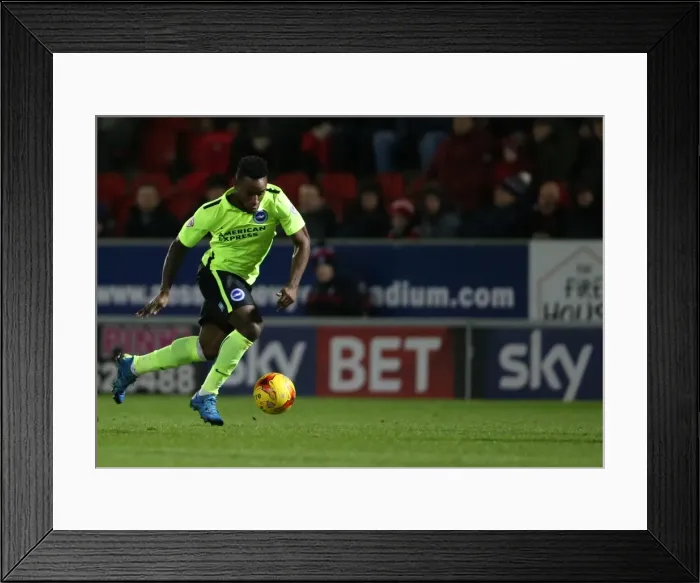 Framed Print : Brighton and Hove Albion's Triumphant Championship Win Against Rotherham United (January 12, 2016) Framed Print : Brighton and Hove Albion's Triumphant Championship Win Against Rotherham United (January 12, 2016)