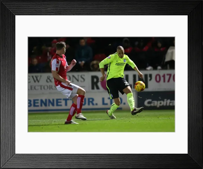 Framed Print : Brighton and Hove Albion's Triumph over Rotherham United in Sky Bet Championship (12 January 2016) Framed Print : Brighton and Hove Albion's Triumph over Rotherham United in Sky Bet Championship (12 January 2016)