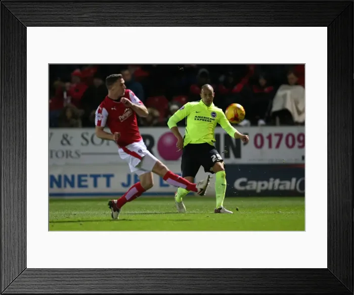 Framed Print : Brighton and Hove Albion vs Rotherham United: Championship Clash at New York Stadium (12JAN16) Framed Print : Brighton and Hove Albion vs Rotherham United: Championship Clash at New York Stadium (12JAN16)
