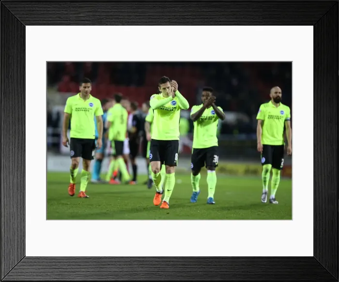 Framed Print : Brighton and Hove Albion vs. Rotherham United: Sky Bet Championship Clash (12JAN16) Framed Print : Brighton and Hove Albion vs. Rotherham United: Sky Bet Championship Clash (12JAN16)
