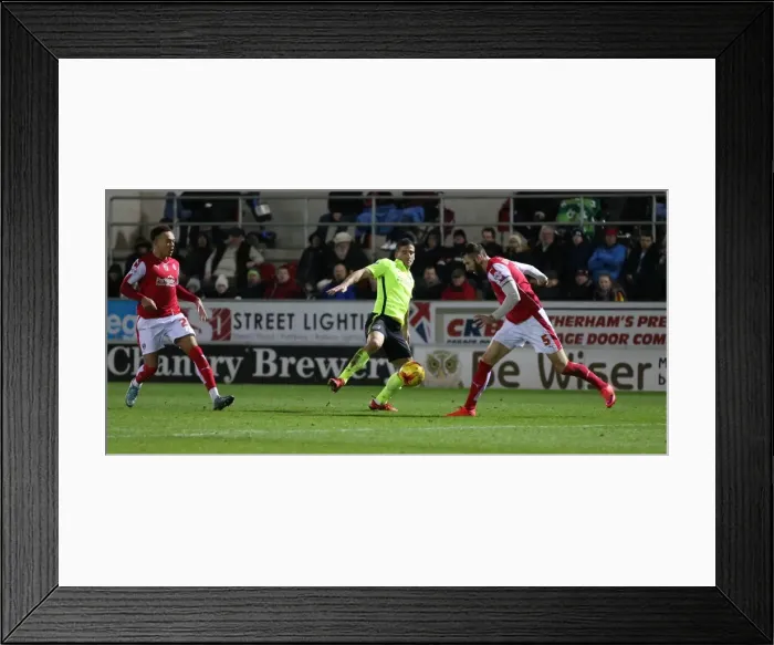 Framed Print : Brighton and Hove Albion's Triumph over Rotherham United in Sky Bet Championship (12 January 2016) Framed Print : Brighton and Hove Albion's Triumph over Rotherham United in Sky Bet Championship (12 January 2016)