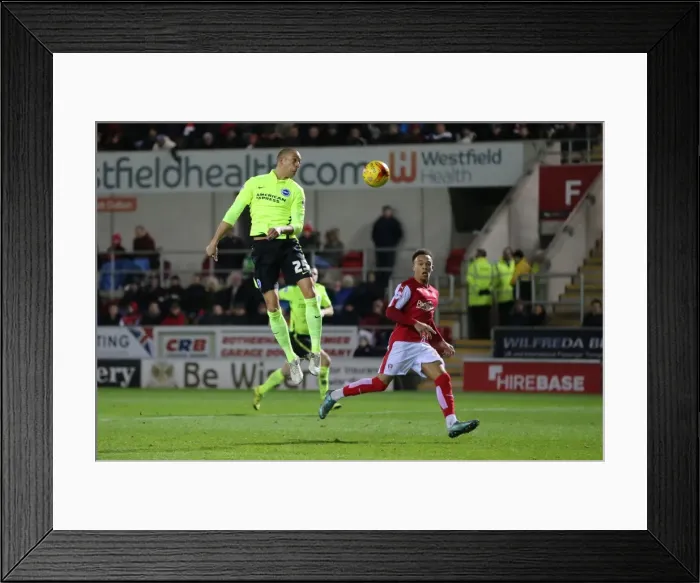 Framed Print : Brighton and Hove Albion's Triumph over Rotherham United in Sky Bet Championship (12 January 2016) Framed Print : Brighton and Hove Albion's Triumph over Rotherham United in Sky Bet Championship (12 January 2016)