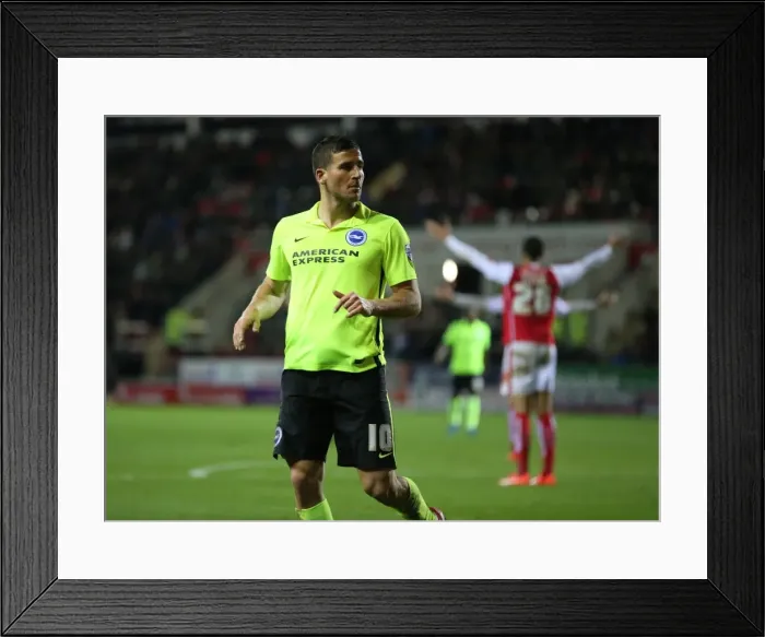 Framed Print : Brighton and Hove Albion vs. Rotherham United: Sky Bet Championship Clash, January 2016 Framed Print : Brighton and Hove Albion vs. Rotherham United: Sky Bet Championship Clash, January 2016