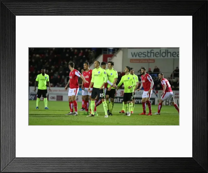 Framed Print : Brighton and Hove Albion Take on Rotherham United in Championship Clash (12JAN16) Framed Print : Brighton and Hove Albion Take on Rotherham United in Championship Clash (12JAN16)