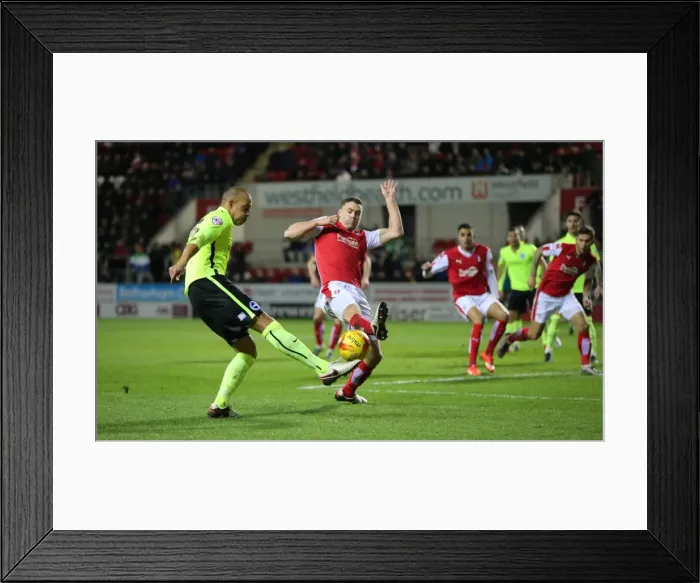 Framed Print : Brighton and Hove Albion vs. Rotherham United: Sky Bet Championship Clash (12JAN16) Framed Print : Brighton and Hove Albion vs. Rotherham United: Sky Bet Championship Clash (12JAN16)