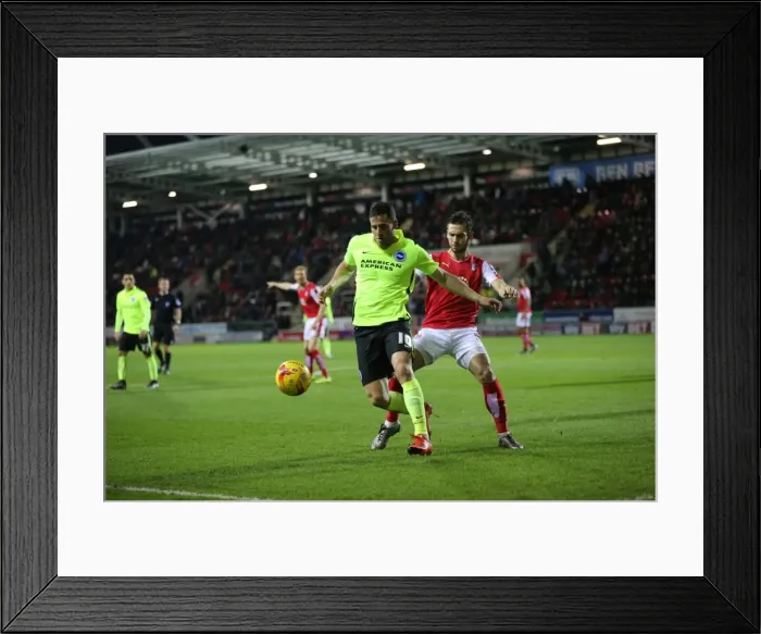 Framed Print : Brighton and Hove Albion's Victory Over Rotherham United in Sky Bet Championship (12 January 2016) Framed Print : Brighton and Hove Albion's Victory Over Rotherham United in Sky Bet Championship (12 January 2016)