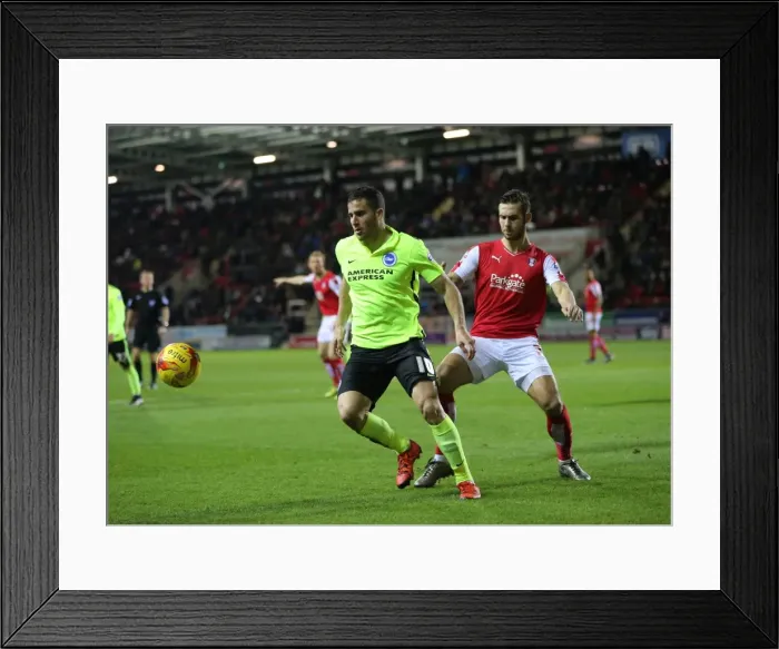 Framed Print : Brighton and Hove Albion's Triumphant Championship Win Over Rotherham United (12 Jan 2016) Framed Print : Brighton and Hove Albion's Triumphant Championship Win Over Rotherham United (12 Jan 2016)