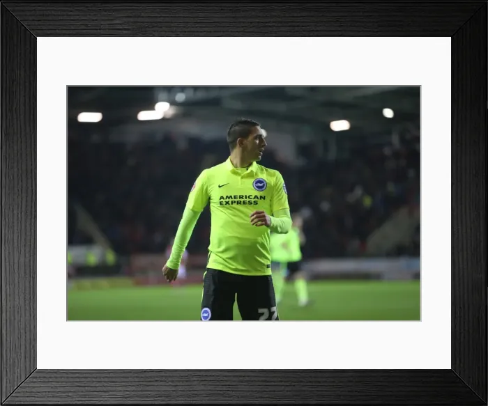 Framed Print : Brighton and Hove Albion's Triumph over Rotherham United in Sky Bet Championship (12 January 2016) Framed Print : Brighton and Hove Albion's Triumph over Rotherham United in Sky Bet Championship (12 January 2016)