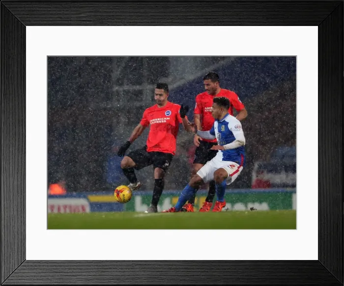 Framed Print : Intense Championship Showdown: Brighton and Hove Albion vs. Blackburn Rovers at Ewood Park (16 January 2016) Framed Print : Intense Championship Showdown: Brighton and Hove Albion vs. Blackburn Rovers at Ewood Park (16 January 2016)