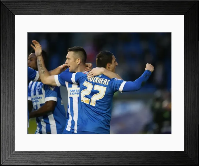 Framed Print : Brighton and Hove Albion vs. Huddersfield Town: Sky Bet Championship Showdown at American Express Community Stadium (January 23, 2016) Framed Print : Brighton and Hove Albion vs. Huddersfield Town: Sky Bet Championship Showdown at American Express Community Stadium (January 23, 2016)