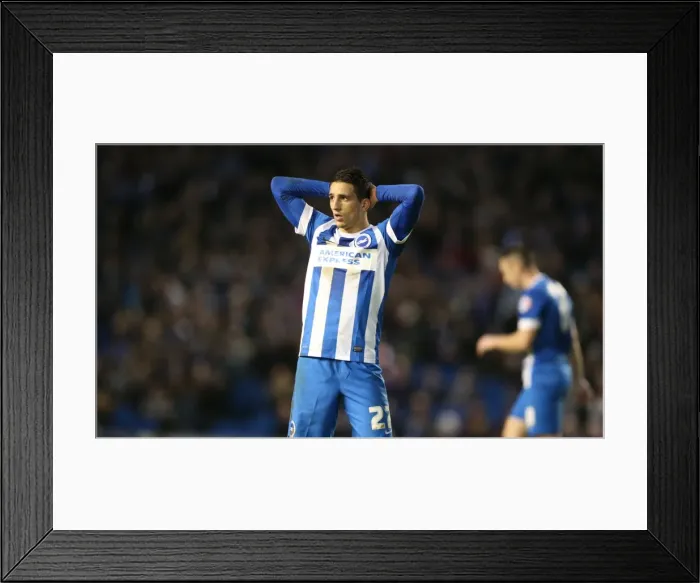 Framed Print : Championship Showdown: Brighton & Hove Albion vs. Huddersfield Town (23rd January 2016) Framed Print : Championship Showdown: Brighton & Hove Albion vs. Huddersfield Town (23rd January 2016)