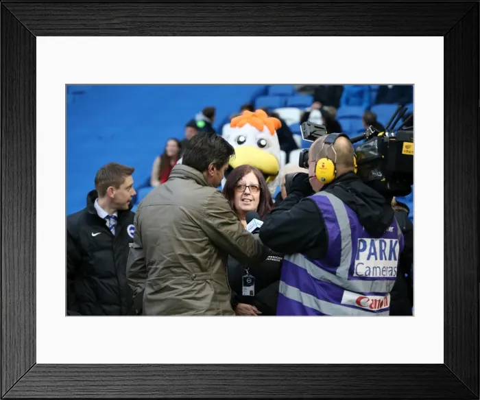 Framed Print : Brighton and Hove Albion vs. Huddersfield Town: A Championship Battle at American Express Community Stadium (23rd January 2016) Framed Print : Brighton and Hove Albion vs. Huddersfield Town: A Championship Battle at American Express Community Stadium (23rd January 2016)