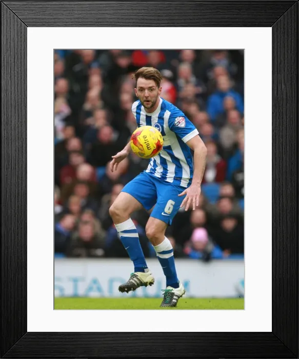 Framed Print : Dale Stephens in Action: Brighton and Hove Albion vs. Huddersfield Town, Sky Bet Championship (23rd January 2016) Framed Print : Dale Stephens in Action: Brighton and Hove Albion vs. Huddersfield Town, Sky Bet Championship (23rd January 2016)