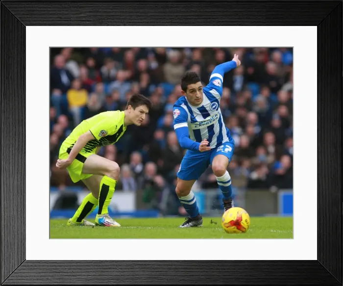 Framed Print : Knockaert Outshines Lolley: Brighton vs. Huddersfield Championship Showdown (23 / 01 / 2016) Framed Print : Knockaert Outshines Lolley: Brighton vs. Huddersfield Championship Showdown (23 / 01 / 2016)