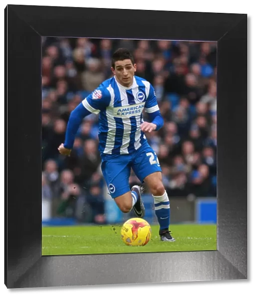 Anthony Knockaert in Action: Brighton and Hove Albion vs. Huddersfield Town, Sky Bet Championship (23rd January 2016)