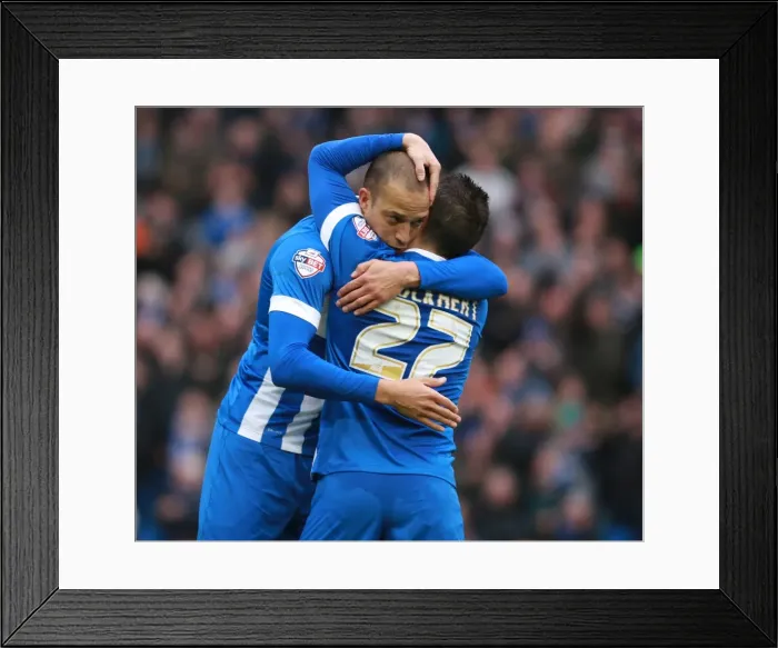 Framed Print : Brighton and Hove Albion: Bobby Zamora and Anthony Knockaert Celebrate Goal vs. Huddersfield Town (Sky Bet Championship, 23rd January 2016)
