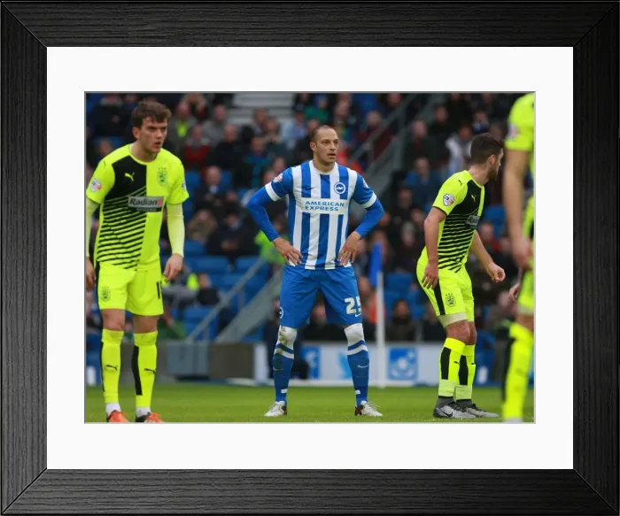 Framed Print : Bobby Zamora in Action: Brighton and Hove Albion vs. Huddersfield Town, Sky Bet Championship 2016 Framed Print : Bobby Zamora in Action: Brighton and Hove Albion vs. Huddersfield Town, Sky Bet Championship 2016