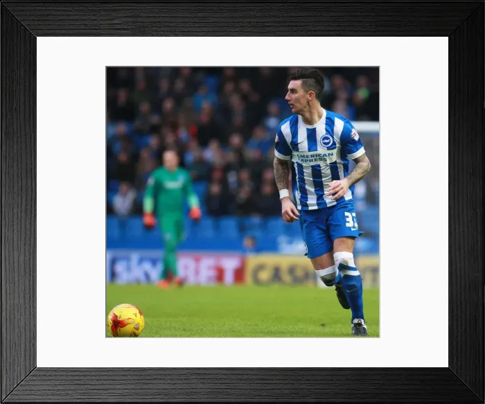 Framed Print : Brighton & Hove Albion vs. Huddersfield Town: Liam Ridgewell in Action - Sky Bet Championship Clash, January 2016 Framed Print : Brighton & Hove Albion vs. Huddersfield Town: Liam Ridgewell in Action - Sky Bet Championship Clash, January 2016