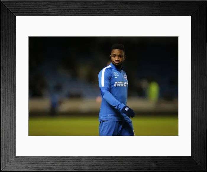 Framed Print : Brighton and Hove Albion vs. Brentford: Sky Bet Championship Showdown at American Express Community Stadium (05 / 02 / 2016)