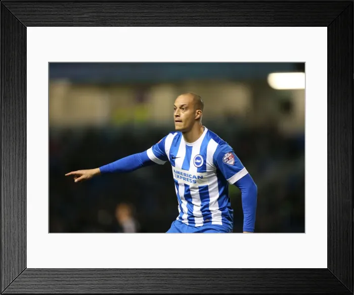 Framed Print : Brighton and Hove Albion vs. Brentford: Sky Bet Championship Showdown at American Express Community Stadium (05.02.2016) Framed Print : Brighton and Hove Albion vs. Brentford: Sky Bet Championship Showdown at American Express Community Stadium (05.02.2016)
