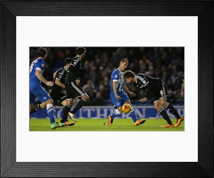 Framed Print : Brighton and Hove Albion vs. Brentford: A Fight in the Championship (05 / 02 / 2016) Framed Print : Brighton and Hove Albion vs. Brentford: A Fight in the Championship (05 / 02 / 2016)