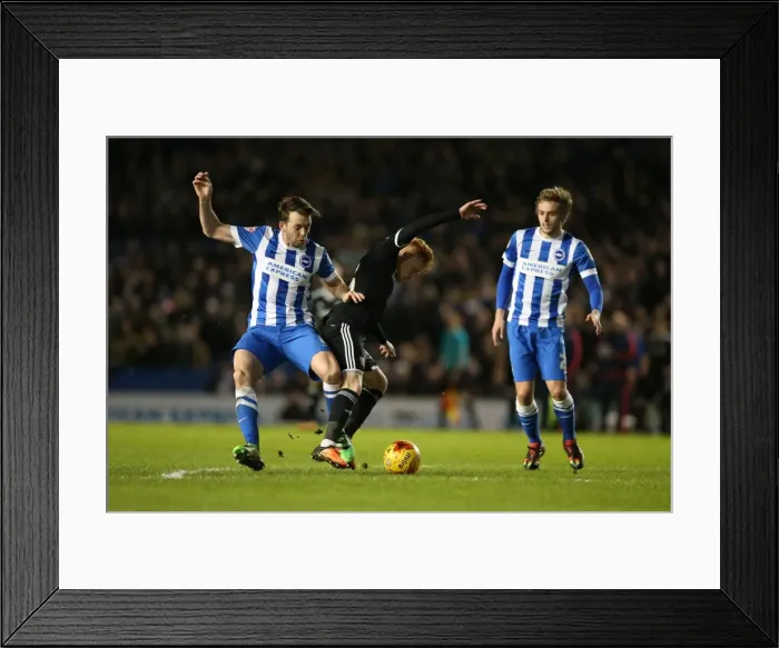 Framed Print : Brighton and Hove Albion vs. Brentford: A Championship Showdown (05 / 02 / 2016)