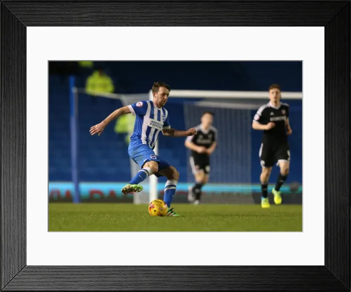 Framed Print : Brighton and Hove Albion vs. Brentford: Sky Bet Championship Showdown at American Express Community Stadium (05.02.2016)