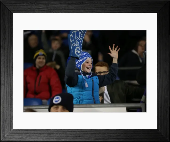 Framed Print : Brighton and Hove Albion vs. Brentford: A Fierce Championship Clash (05 / 02 / 2016)